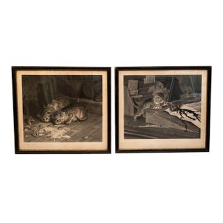 19th Century Original Cat Engravings by Joseph Pratt, Framed - a Pair For Sale