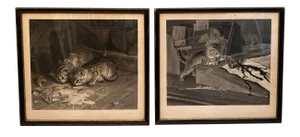 19th Century Original Cat Engravings by Joseph Pratt, Framed - a Pair