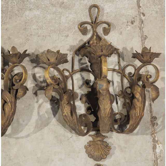 Set of Four Vintage French 3-Arm Iron and Tole Sconces, Distressed Gilt Finish For Sale - Image 18 of 18