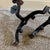 Iron and Brass Sunflower Andirons - A Pair For Sale - Image 14 of 18