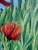 Painting - Red Poppies For Sale - Image 9 of 10