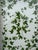Boho Chic Vintage White Faux Wicker Green Ivy Vine Serving Tray For Sale - Image 3 of 18
