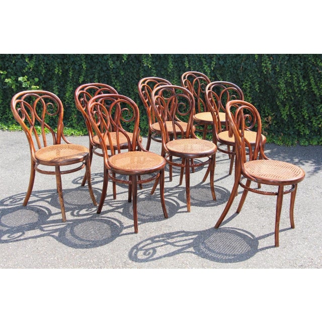 19th Century Bistro Chairs in the style of Thonet, 1890s, Set of 8 For Sale - Image 3 of 14