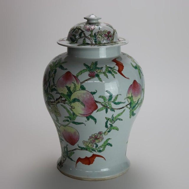 Chinese Republic Period Porcelain Covered Longevity Ginger Jar With Fruit, Early 20th Century For Sale - Image 6 of 7