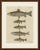 This hand coloured copper engraving of five trout, the salmon trout, pond trout, stone trout, lake trout and alpine trout,...