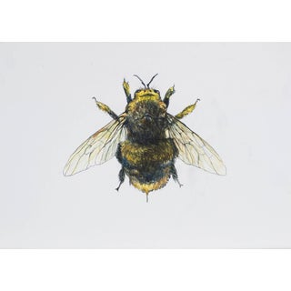 Juris Utans, Royal Bee, 2021, Mixed Media and Paper For Sale