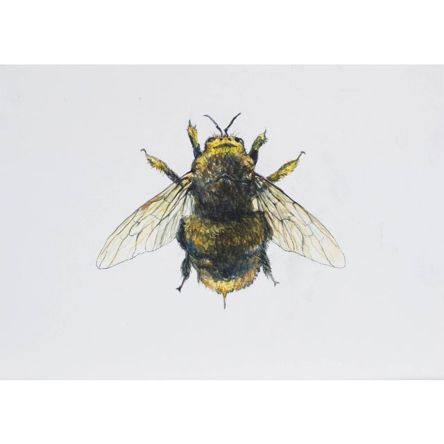 Juris Utans, Royal Bee, 2021, Mixed Media and Paper For Sale