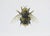 Juris Utans, Royal Bee, 2021, Mixed Media and Paper For Sale