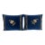 Pair of French Sapphire Velvet Pillows With 19th Century Gold Metallic Appliques For Sale