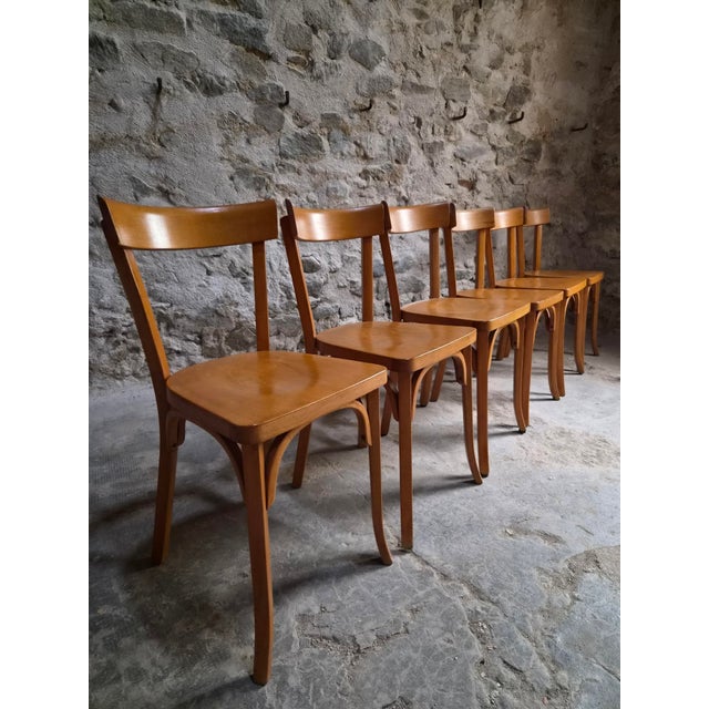 Brown Vintage Baumann Bistro Chairs, France, 1950s, Set of 6 For Sale - Image 8 of 18