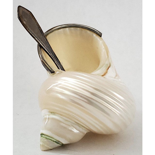 Caviar Dish by Scully & Scully Sterling Silver 925 Hallmarked & Spoon Seashell Shell For Sale - Image 14 of 17