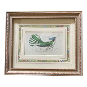 Mid 20th Century Stokes Hummingbird Engraving, Framed