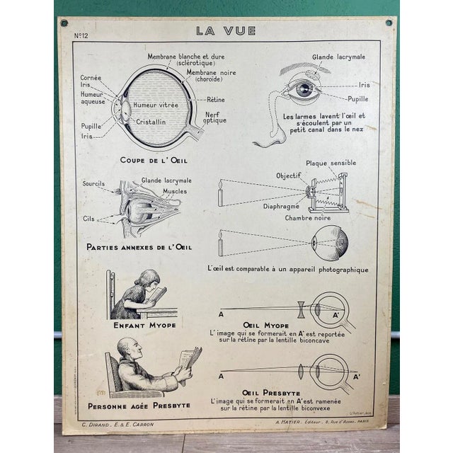 Mid-Century Modern Vintage Cardboard Senses Poster For Sale - Image 3 of 15