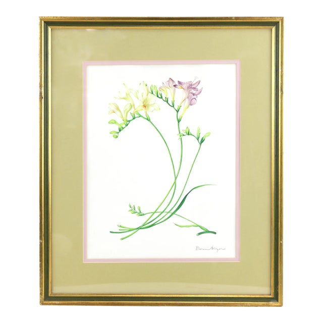 Vintage Hand-Painted Plant Specimen Watercolor Freesia Flower (With Frame). Signed in the Lower Right Corner For Sale