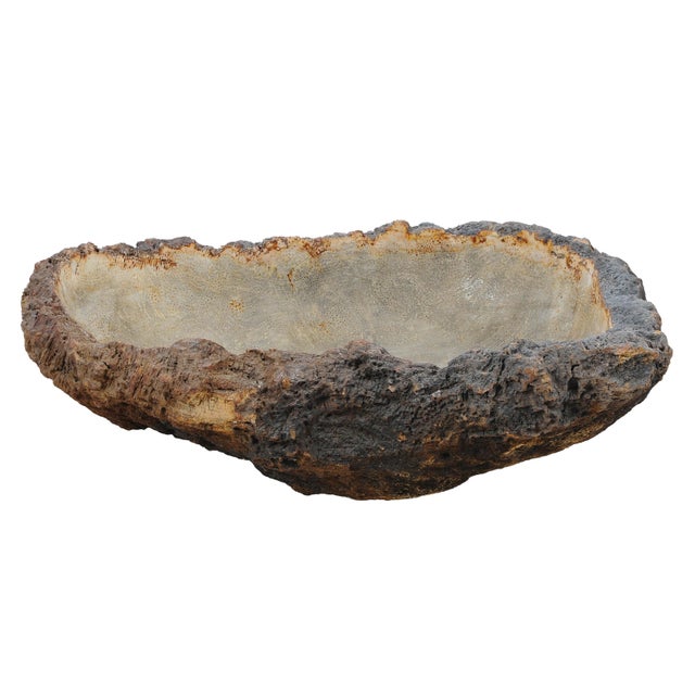 Contemporary Petrified Coral Bowl by Xyleia Petrified Wood For Sale - Image 3 of 7