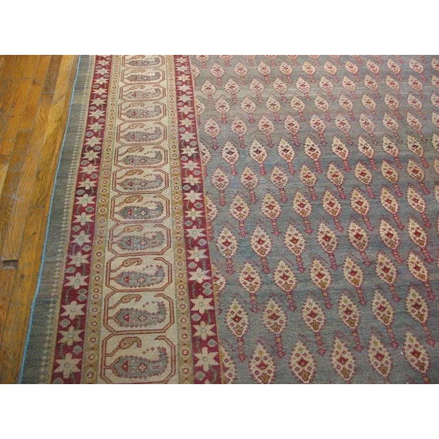 Textile Early 20th Century N. Indian Amritsar Carpet ( 9'9" x 13'4" - 297 x 406 ) For Sale - Image 7 of 12
