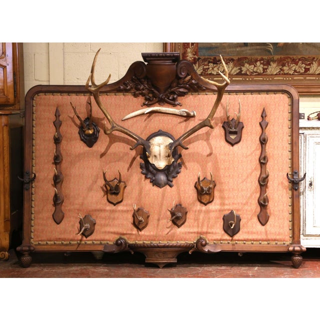 19th Century French Black Forest Style Walnut Hunting Trophy Wall Rack For Sale In Dallas - Image 6 of 11