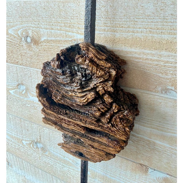 Exceptional large-scale antique French weather vane cross in wrought iron, dating from the late 18th to early 19th...