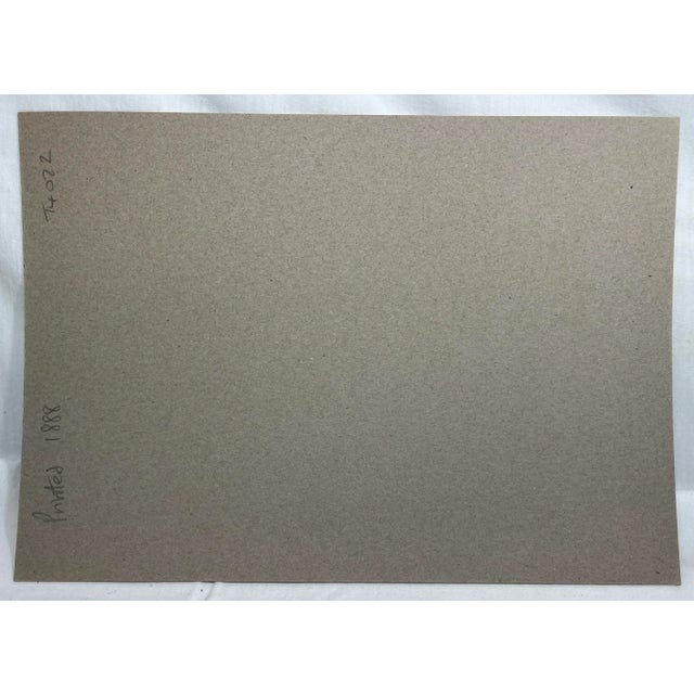 Antique Hand Colored Bird Print by Benjamin Fawcett Showcasing a Red-Necked Grebe - Circa 1888 For Sale - Image 11 of 11