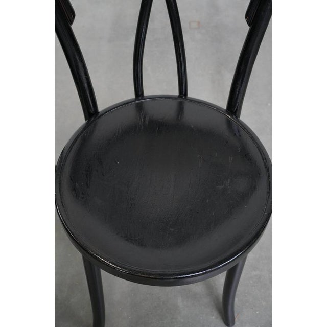 Wood Vintage Thonet Style Bistro Chairs, Set of 6 For Sale - Image 7 of 18