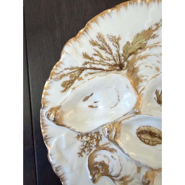 Set/6 Rare Antique French Haviland & Co. Limoges Porcelain Turkey Pattern Oyster Plate 8.75" With Sea Creatures For Sale In Philadelphia - Image 6 of 16