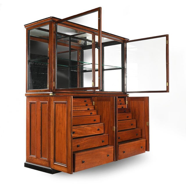 Large mahogany display case in the large zoological museum in Cambridge. Vintage mahogany and glass cabinet. Has 16...