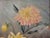 Wood Early 20th C Oil Painting of Chrysanthemums For Sale - Image 7 of 12