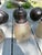 Metal Antique Brass Sconces With Vintage Glass Shades - Set of Three For Sale - Image 7 of 7