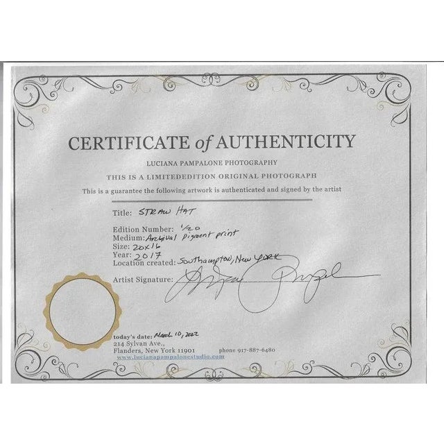 Photography Contemporary Portrait of a Woman Photography Print Titled" Staw Hat" For Sale - Image 7 of 9