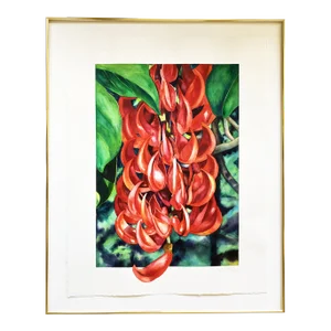 1990s Sally Robertson Realist Watercolor Painting of a New Guinea Creeper, Framed