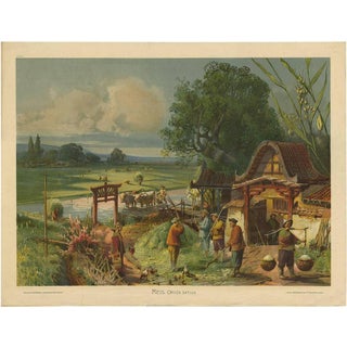 F.E. Wachsmuth, Rice Field, 1900, Paper For Sale