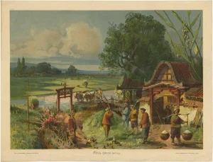 F.E. Wachsmuth, Rice Field, 1900, Paper
