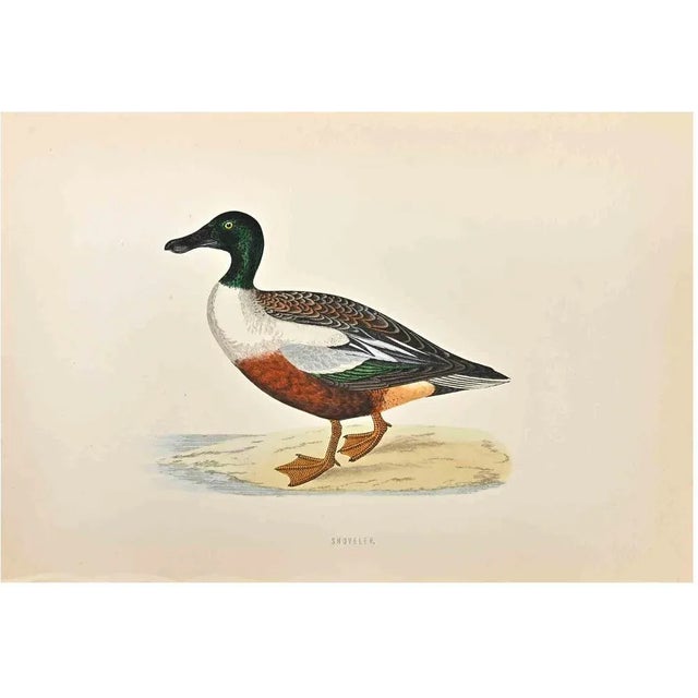 Shoveler is a modern artwork realized in 1870 by the British artist Alexander Francis Lydon (1836-1917) . Woodcut print,...