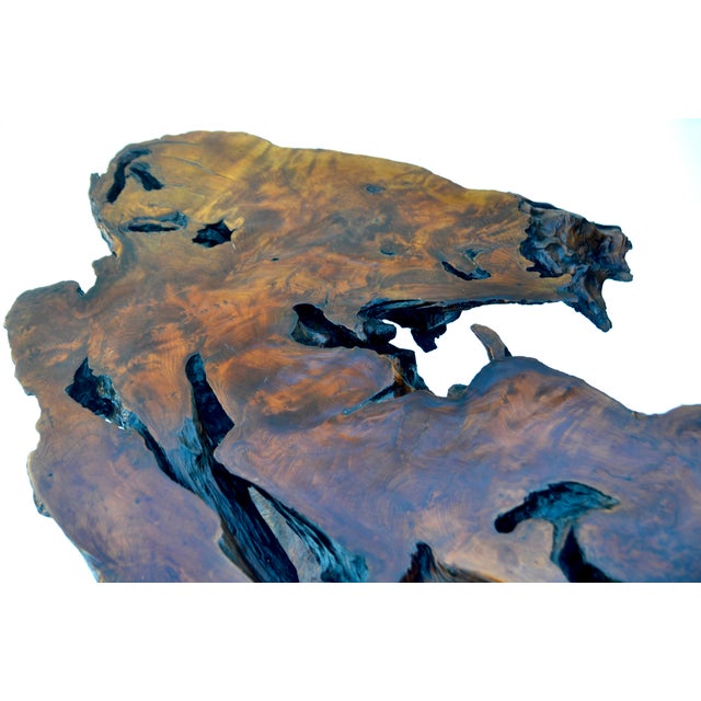 1960s Redwood Burl Coffee Table For Sale In Los Angeles - Image 6 of 7