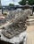 Pair of Weathered French Cement Dolphin Fountain Spouts, Circa 1970s For Sale - Image 10 of 16