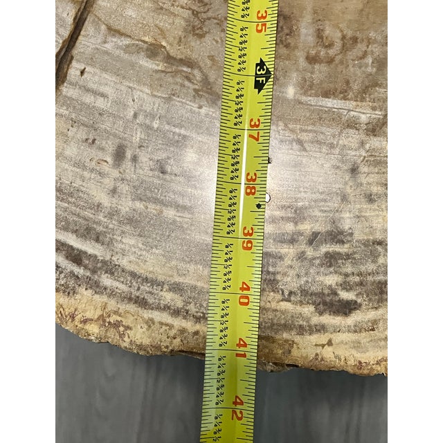 Almond 1990s Petrified Wood Coffee Table For Sale - Image 8 of 12