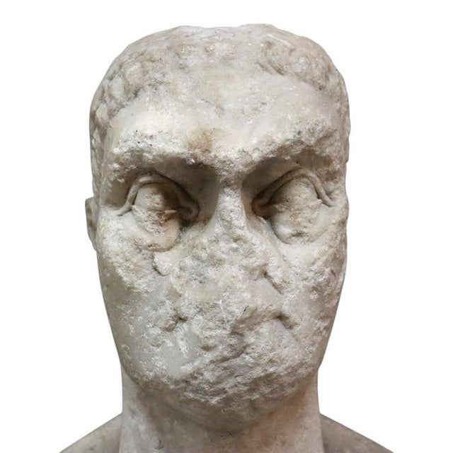 Grand Tour Grand Tour Marble Roman Emperor Augustus Bust C1850 For Sale - Image 3 of 11