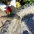 Vintage Bird Bath Aluminum With Iron Filigree Base and Perching Bird Sculpture For Sale - Image 10 of 12
