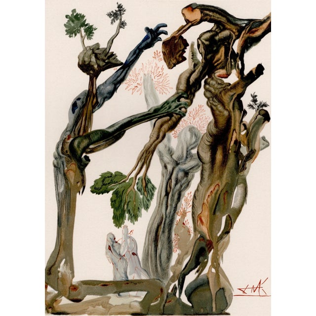 Salvador dali (1904-1989) la selva dei suicidi (the wood of the self-murderers) a.k.a. The suicide forest plate 13 from...
