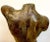 Mid 20th Century French Modern Bronzed Plaster Sculpture of a Male Nude Torso For Sale - Image 4 of 13