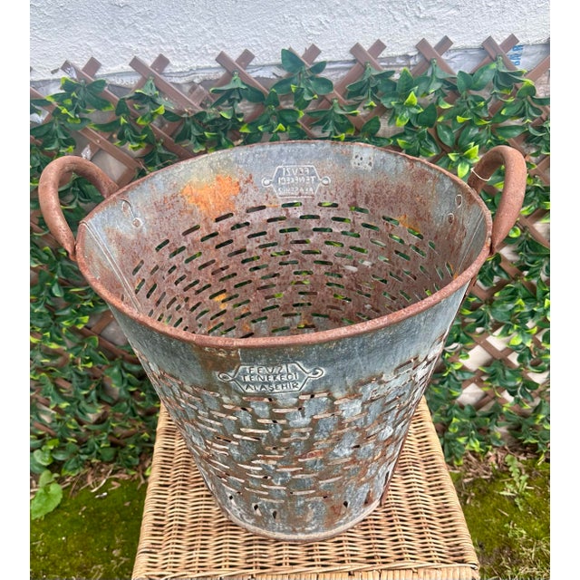 Rustic European Vintage Olive/Harvest Bucket For Sale - Image 3 of 13