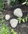 Stone Mid 20th Century Set of Three Cast-Concrete Acorns Suitable for Landscape For Sale - Image 7 of 7