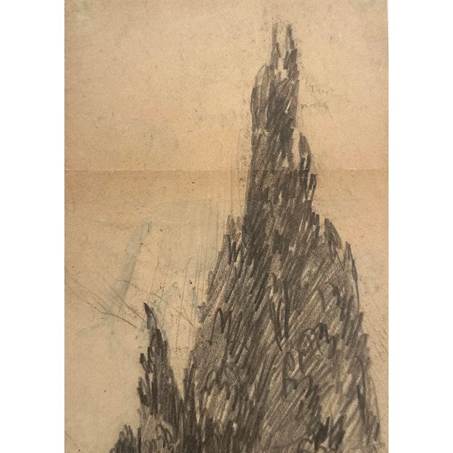 Early 20th Century Early 1900's Antique French Charcoal Drawing of Cypress on Paper With Mat, Signed by French Artist Maurice De Lambert For Sale - Image 5 of 5