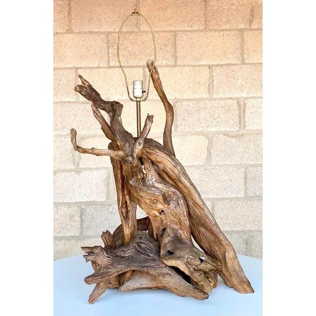 Coffee Monumental Organic Driftwood Sculptural Table Lamp For Sale - Image 8 of 12