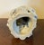Antique 18th Century Chinese Blanc De Chine White Porcelain Parrot For Sale - Image 17 of 18