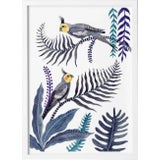 “Cockatiel Forest" Bird and Botanical Signed Limited Edition Print in White Frame For Sale