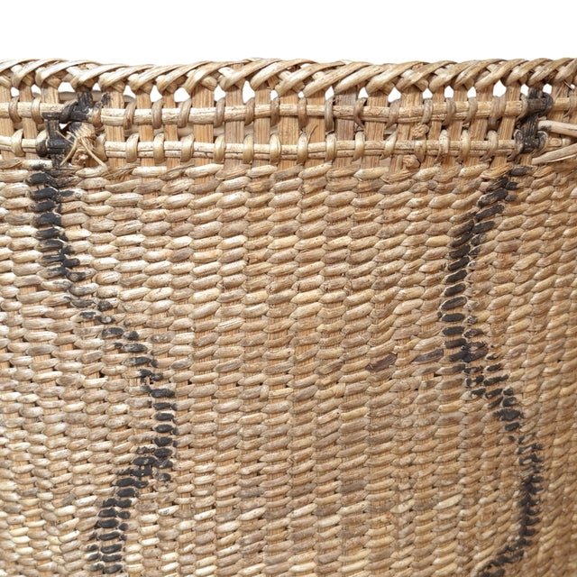 Tan Yanomami Gathering Basket For Sale - Image 8 of 13