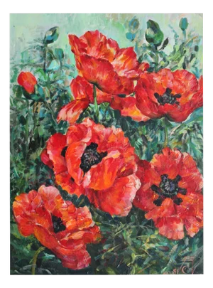 Andrey Gorgots, Poppy, Canvas, Oil on Cardboard