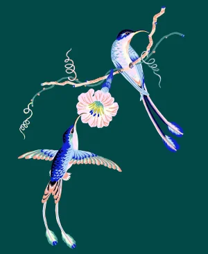 Contemporary Hummingbird Giclée Print in Teal