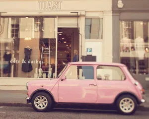 Pink Mini by Irene Suchocki Print, 16" x 20"